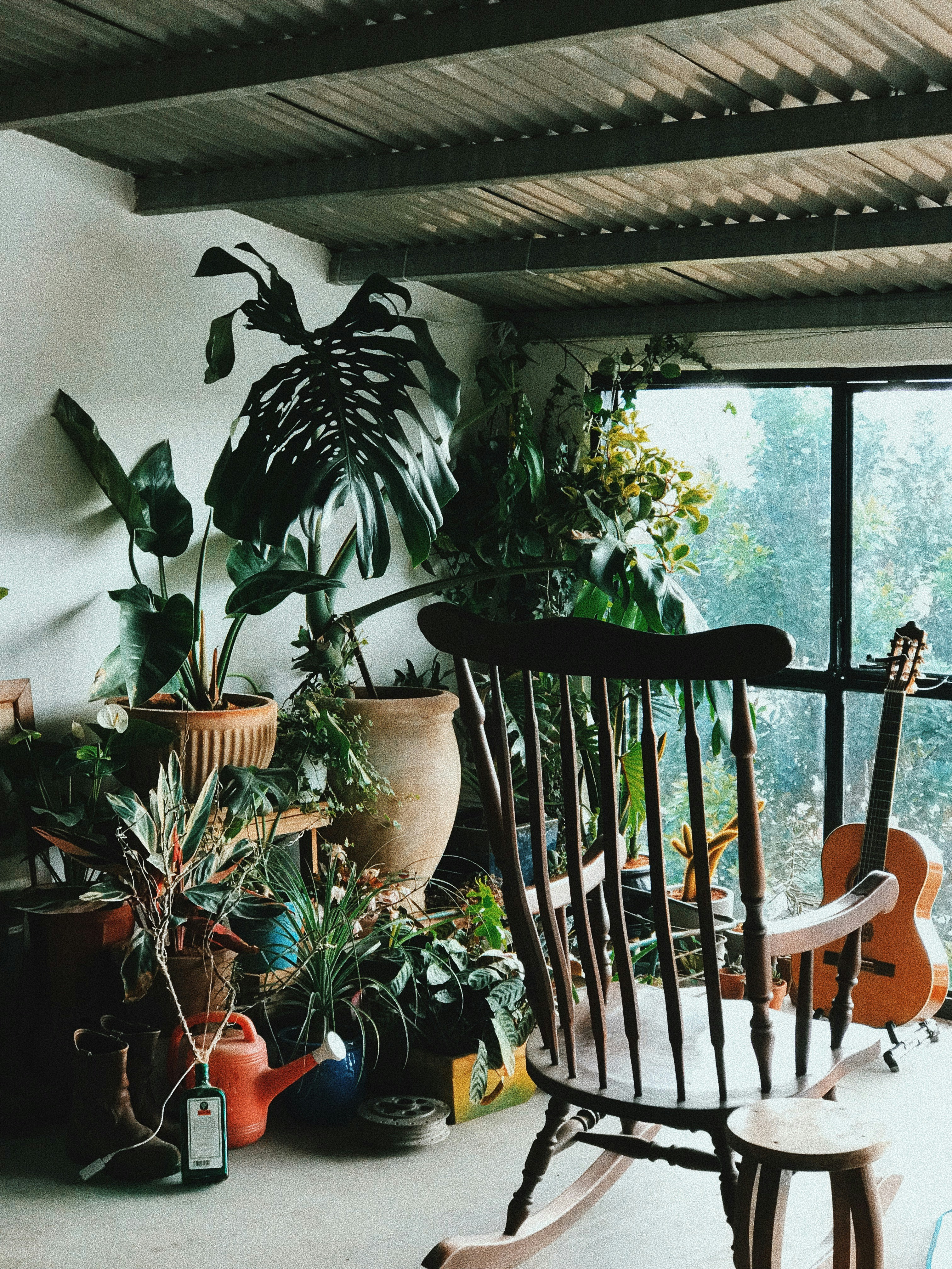 Cozy room with plants and a guitar